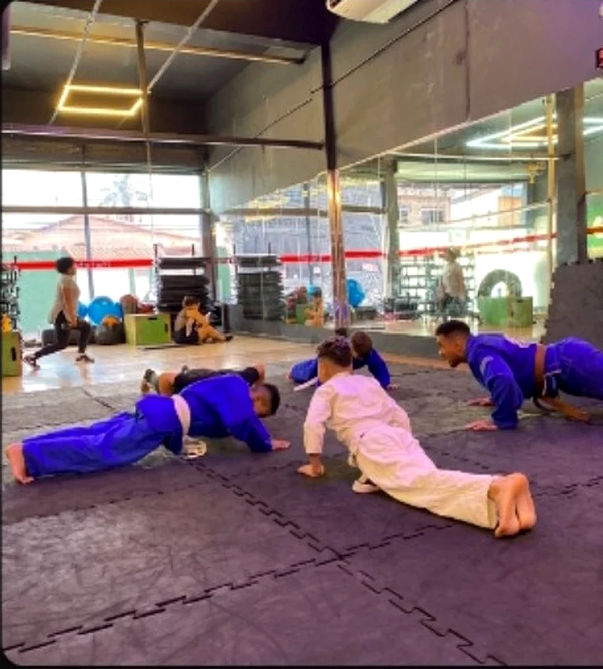 Atividade e acompanhamento na PROGYM